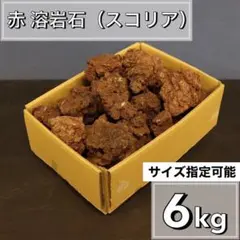 c.r.greens様 リクエスト 2点 まとめ商品