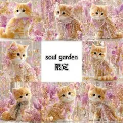 soul garden 7