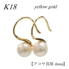 大きいトイプードル様 リクエスト 3点 まとめ商品