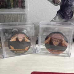 呪術廻戦虎杖悠仁缶バッジ