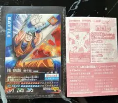 ドラゴンボール　データカードダス　爆裂インパクト　孫悟飯