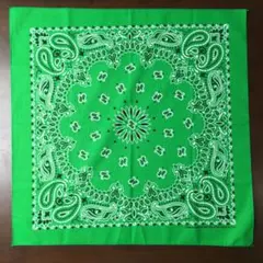 Item thumbnail for item e123dd72-9fc0-427a-aa93-16ecb696c6be