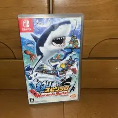Switchゲームソフト釣りスピリッツ