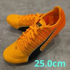 Puma evospeed future faster 377379-01 - メルカリ