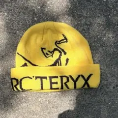 2026年最新】ARC'TERYX カラー：イエロー系 メンズ ニット帽・ビーニー