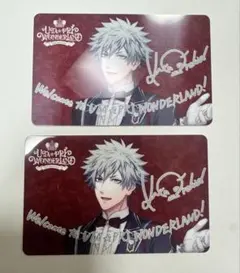 パスポートカード　蘭丸2枚セット