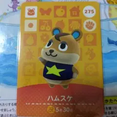 匿名配送 Amiiboカード ハムスケ