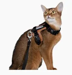 ブラック 猫用ハーネス 130cmのサムネイル
