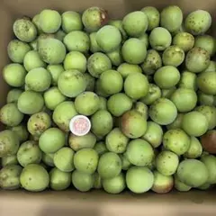 プレミアム】紅秀峰3L中心800g 山形東根産 大玉厳選数量限定 - メルカリ