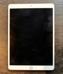 Apple iPad pro 10.5 256GB 2017年モデル