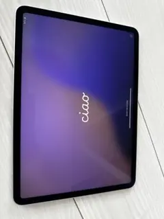 Apple iPadpro11インチ(第3世代)シルバー 本体