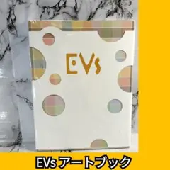 ポケモン EVs イーブイ アートブック 完売品 ヒグチユウコ プレミア ポケモン EVs イーブイ アートブック 完売品 ヒグチユウコ プレミア