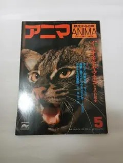 イリオモテヤマネコ : 亜熱帯の島に野生猫を追う - メルカリ