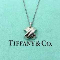 2026年最新】ティファニーシグネチャーネックレスの人気アイテム