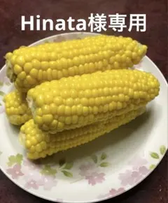 Hinata様専用