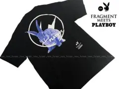 Item thumbnail for item 1fd4a356-338e-49e9-a6da-9795b58989e7