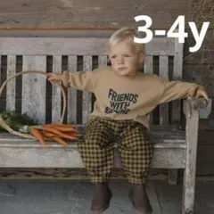 organic zoo Gingham Carrot Pants