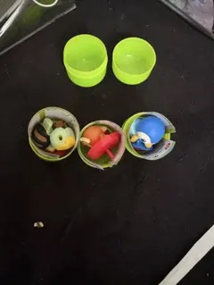 ポケモン チョコエッグ御三家