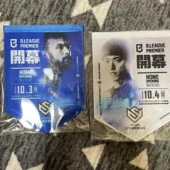 島根スサノオマジック 開幕記念タペストリー　セット
