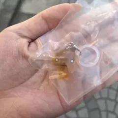サンエックスユニバース マスコットチャーム めじるしアクセサリー こげぱん