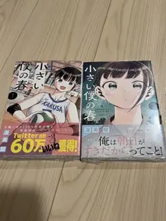 小さい僕の春 1-2巻セット 漫画 渥美駿　初版帯付き　シュリあり