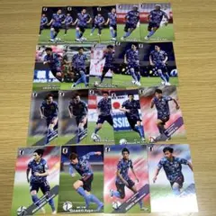 サッカーチップスカード　日本代表