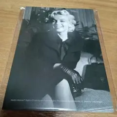 Item thumbnail for item 89799df5-a1a8-488d-8788-54734a2900f9