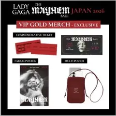 2026年最新】レディー・ガガ チケットの人気アイテム - メルカリ