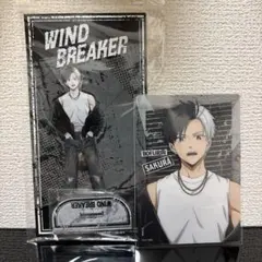 【最終値下げ】WIND BREAKER ロックレザー 桜遥 2点セット