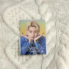 猪狩蒼弥 プロフィールカード