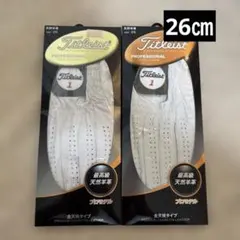 Item thumbnail for item bab08f56-8665-4d14-b9fc-8c0e884e10f2