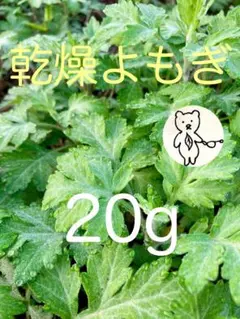 乾燥よもぎ　農家の乾燥よもぎ　20gのサムネイル