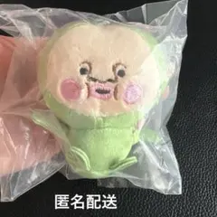 新品　こびとづかんのぬいぐるみ　スモモノウチ　ボールチェーン　ストラップ