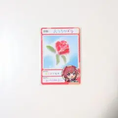 にじさんじ 天ヶ瀬むゆ カード にじさんじチップス