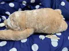 Item thumbnail for item 670b5e6a-4874-4657-975a-b6ae6322f2f0