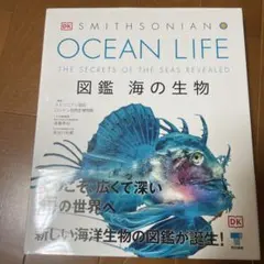 ☆Emiちゃん☆様 リクエスト 3点 まとめ商品