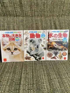 【小学館の図鑑NEO】本物の大きさ、動物、水の生物 3冊セットのサムネイル