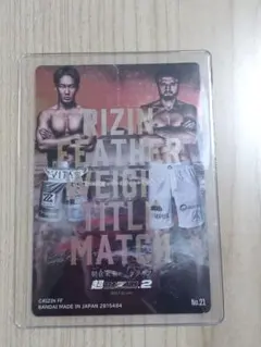 Item thumbnail for item 994d12f8-8db0-468c-9c5f-91c1baca08d6