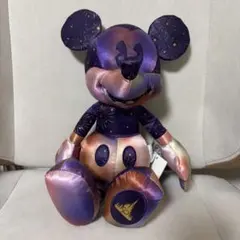 ウォルトディズニーワールド