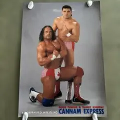 WWE トリプルH ポートレート - メルカリ