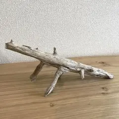 Item thumbnail for item f2527f97-2389-4c3a-ac17-8e30f9209e8c