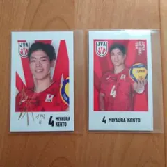 キャラポトレ バレーボール男子日本代表 箔押しサイン入り 宮浦健人選手