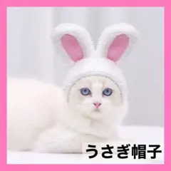 猫 犬用帽子 着ぐるみ コスプレ うさぎ 可愛い 暖かい 防寒対策 クリスマス