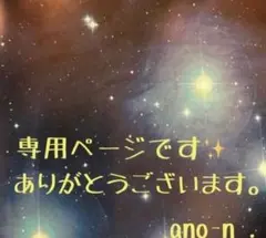 ぼんばん様専用☆ チェリーアンバー ラウンドビーズ【e-713】他