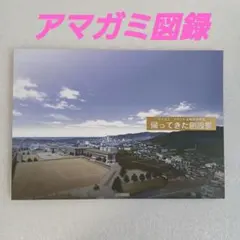 アマガミSSシリーズ設定資料集5 6 V VI 版権イラスト編01 02 - メルカリ
