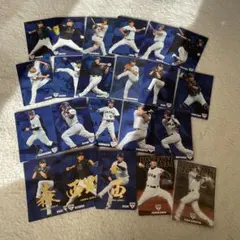 侍ジャパンプロ野球チップスカード