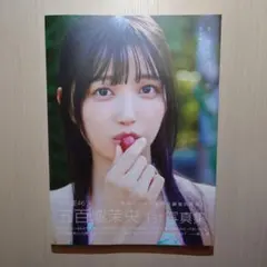 Item thumbnail for item 3f87896e-a4da-4652-ad47-d79b076d36fa