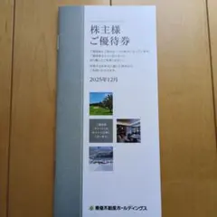【メルカリ便】東急不動産 宿泊/スポーツ優待券 2026年8月末まで 100株