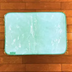 Item thumbnail for item 1397114c-a454-4d62-95ad-2fa4c7e4de84