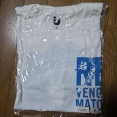 Item thumbnail for item 318ca51f-8149-4aca-b85f-05967e9ea3d0